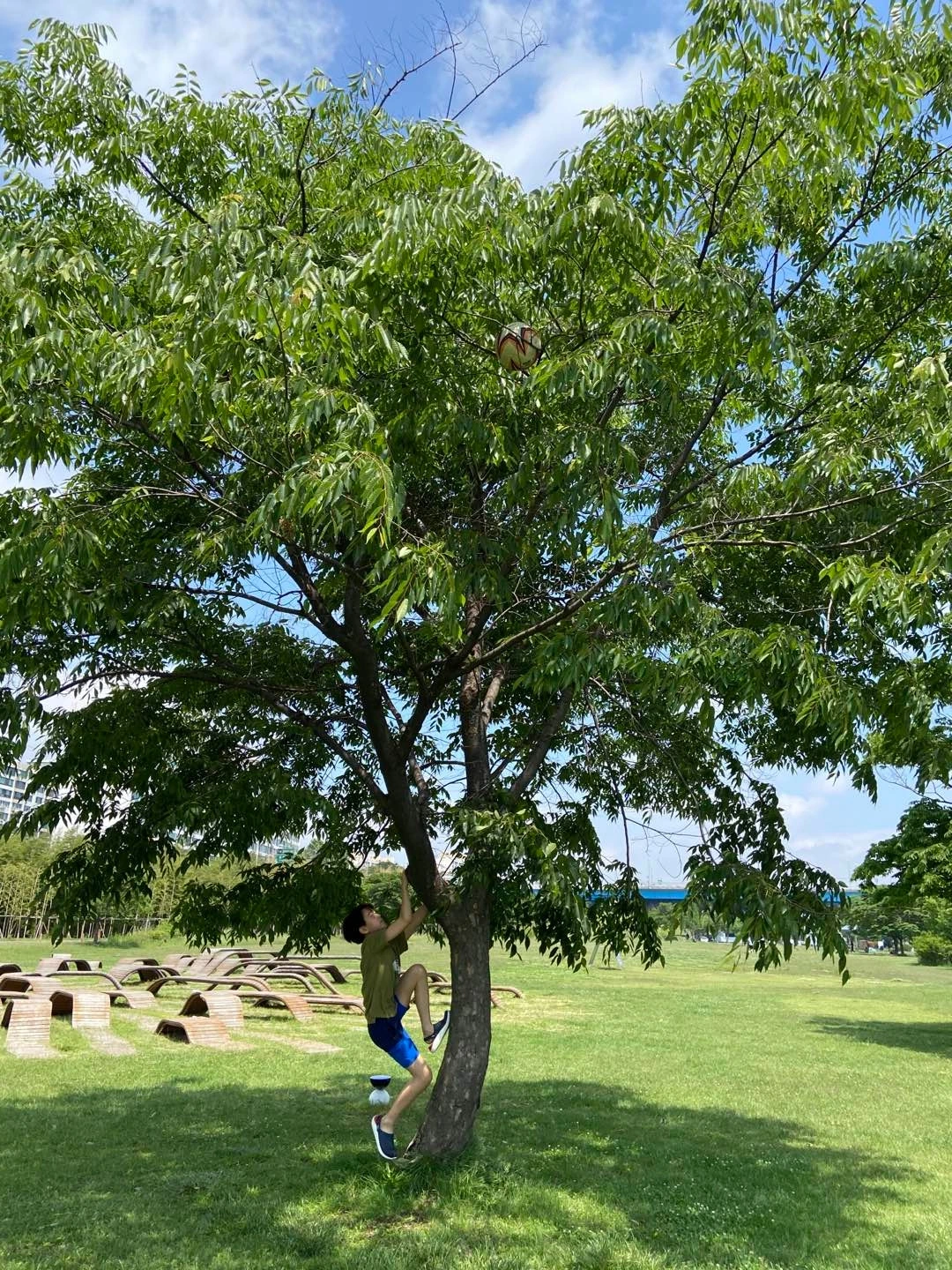 축구공 1.jpeg