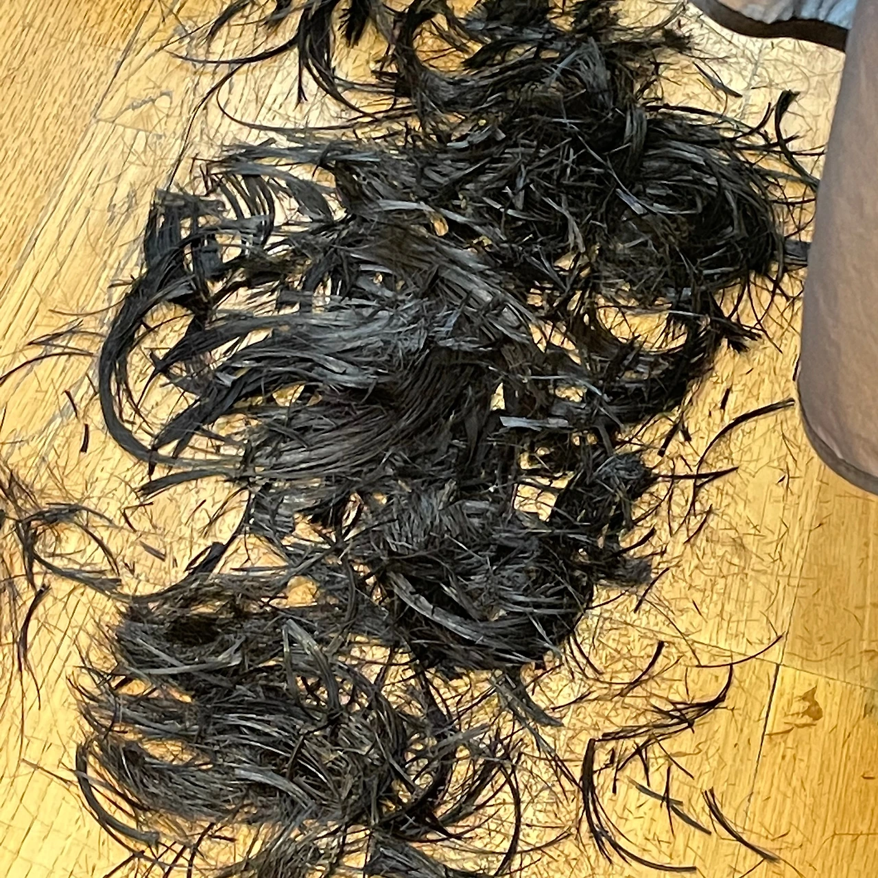 세림 13.jpeg