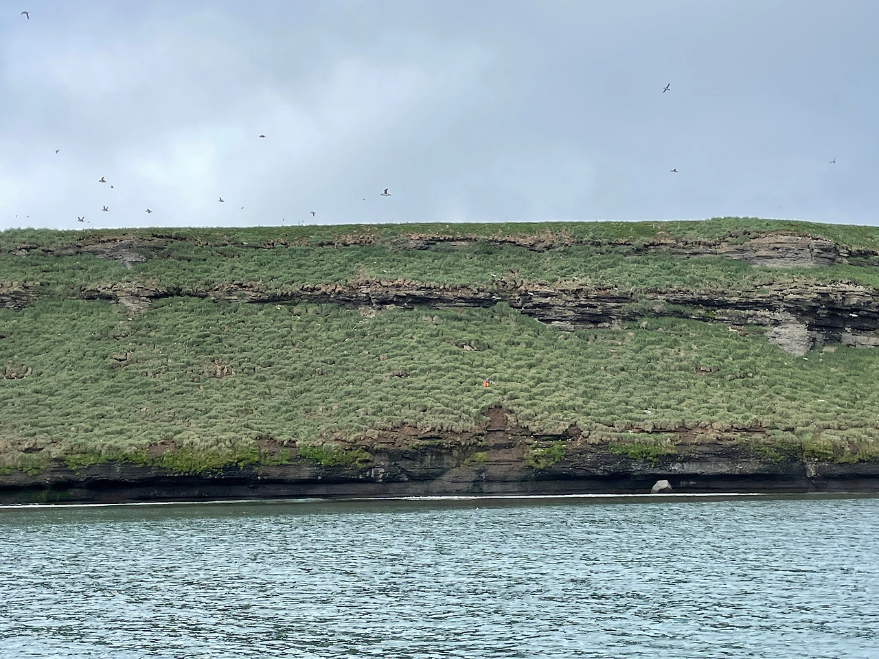 후사비크 5.jpeg