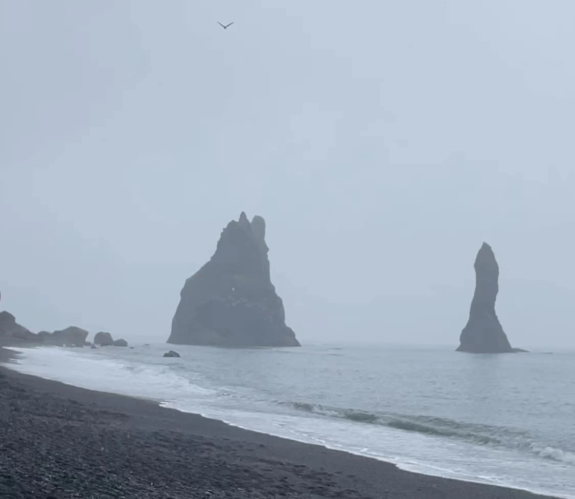 레이니스 2.jpeg