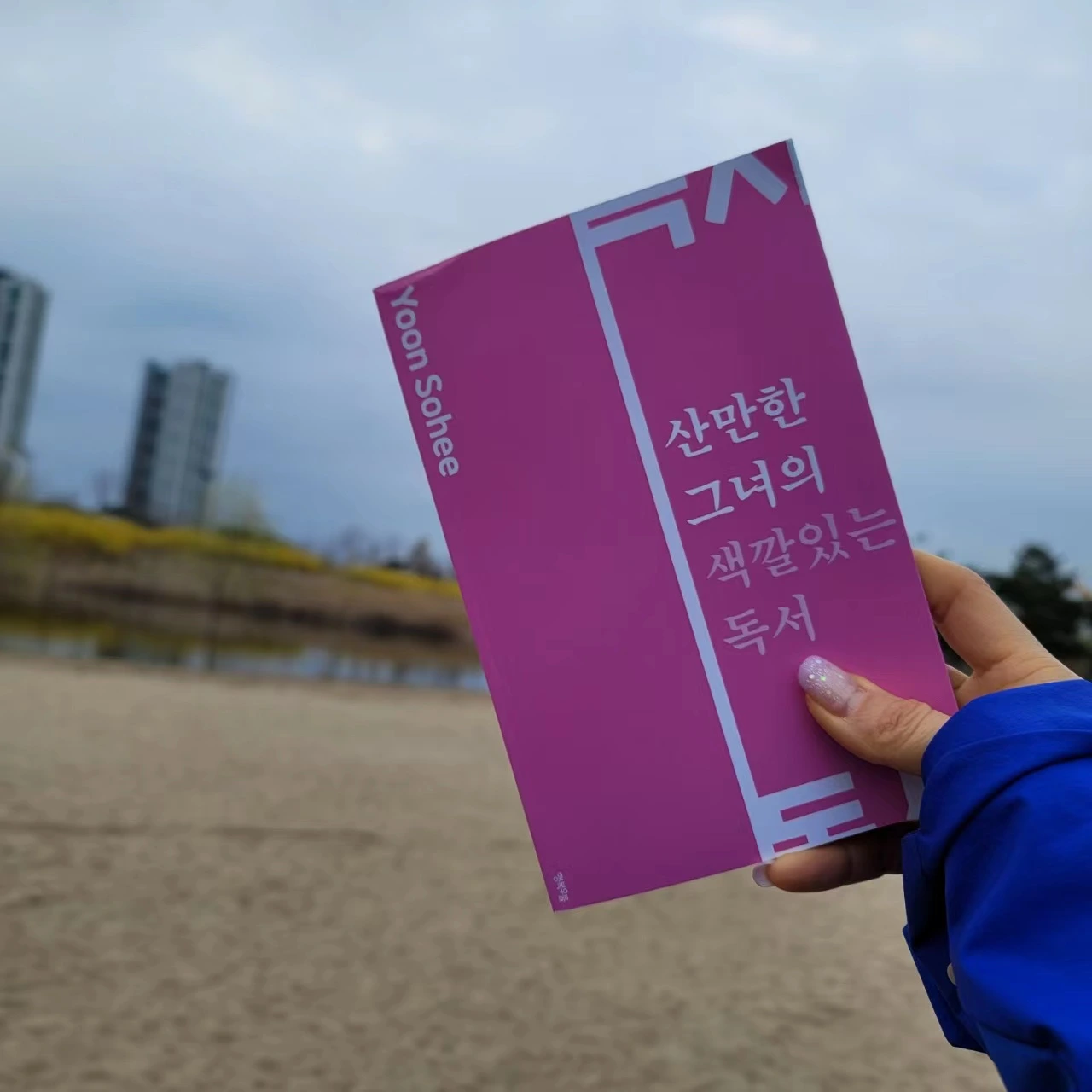 산만한 양2.jpeg