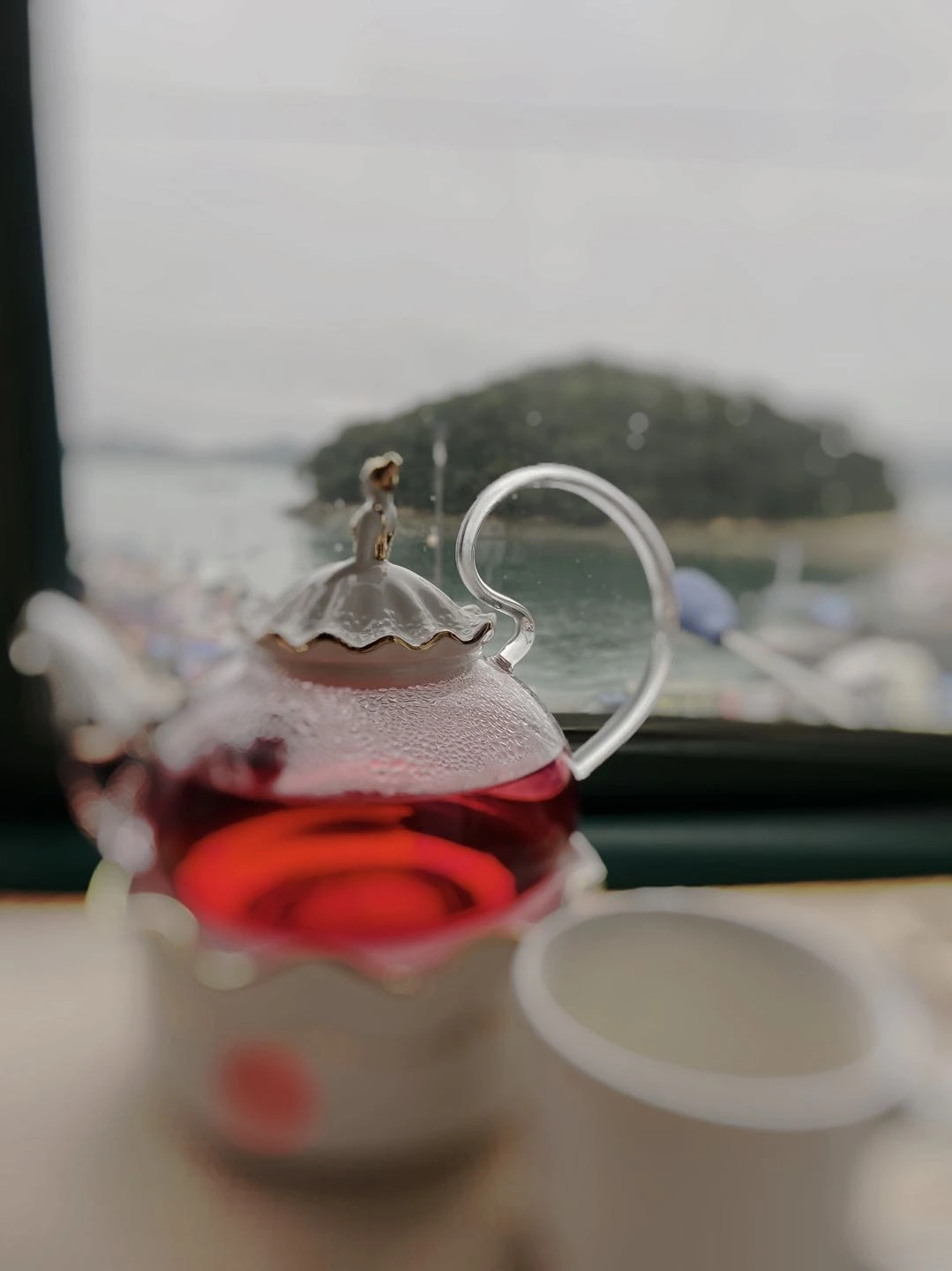 완도 5.jpeg