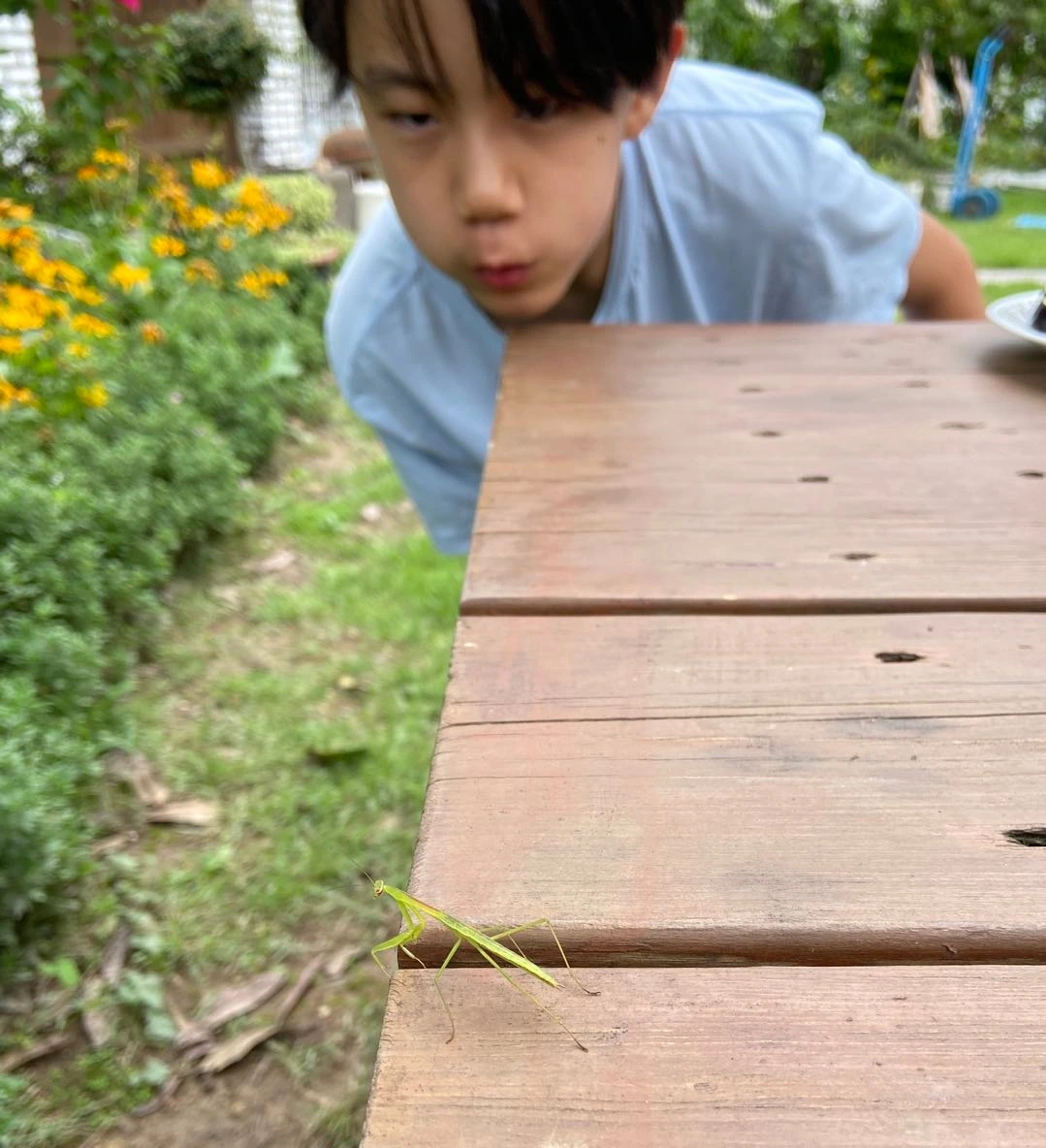 농사 9.jpeg