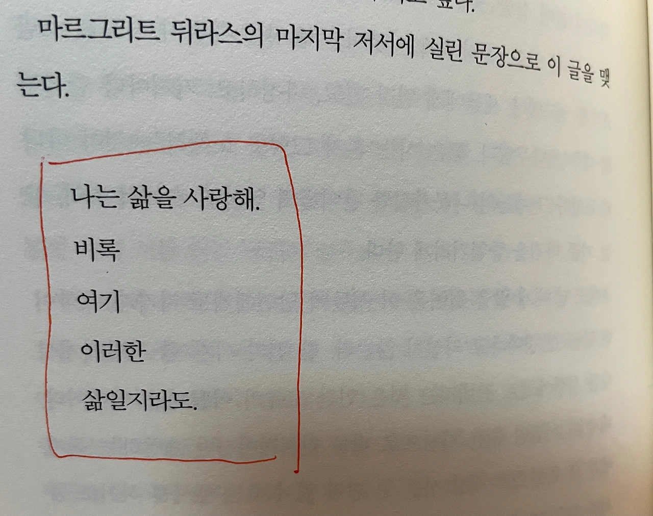 편집 2.jpeg