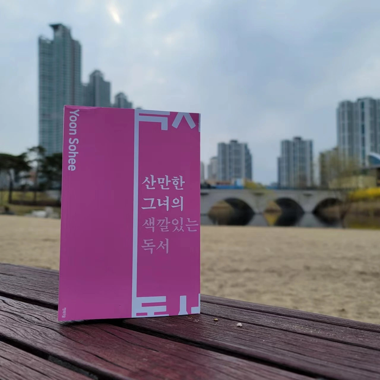 산만한 양 1.jpeg