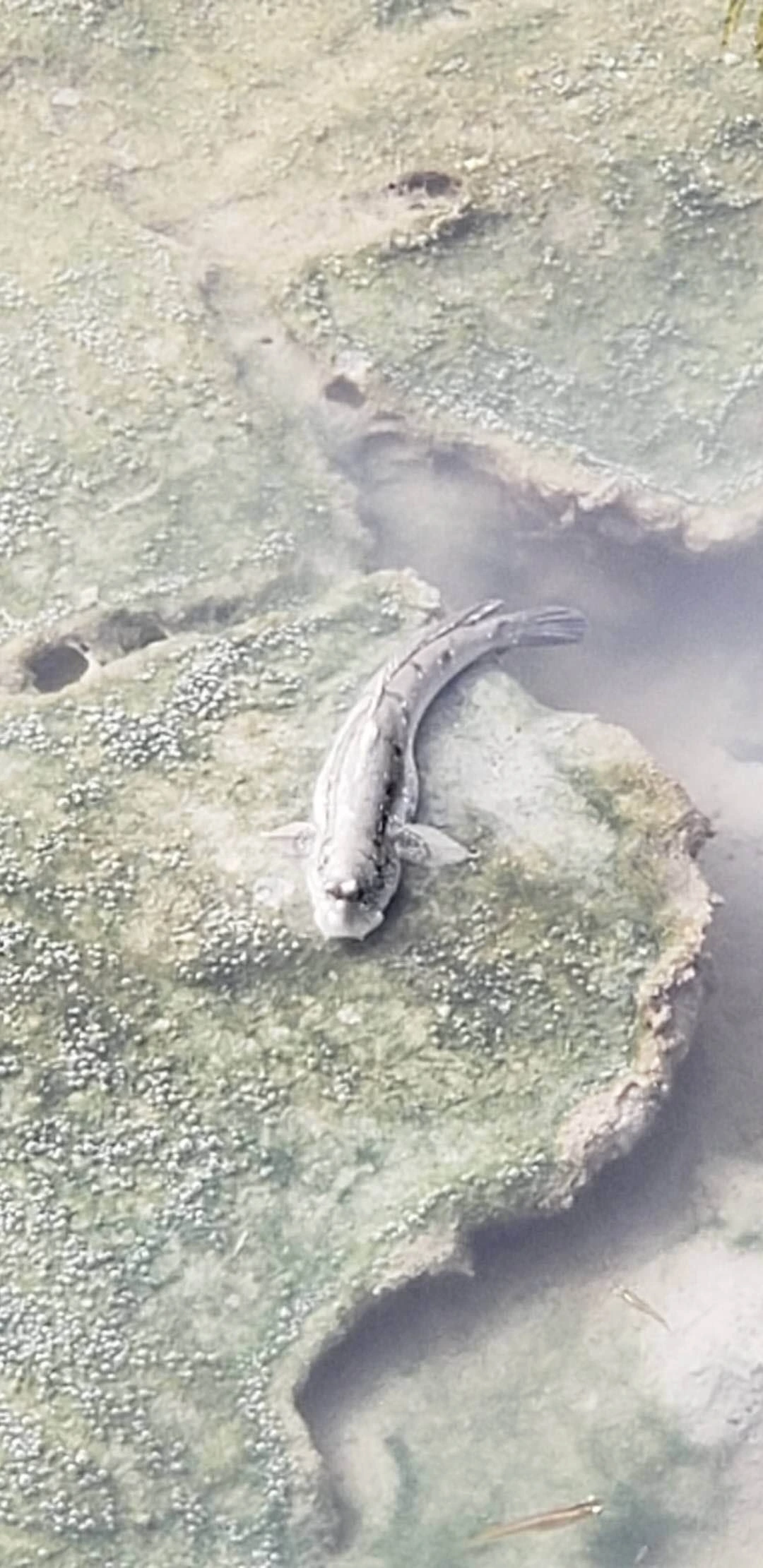 갯벌 1.jpeg