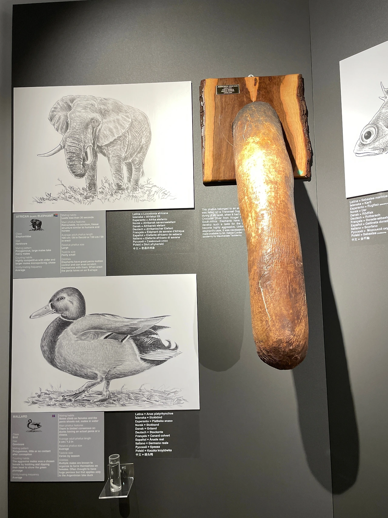 성기 2.jpeg