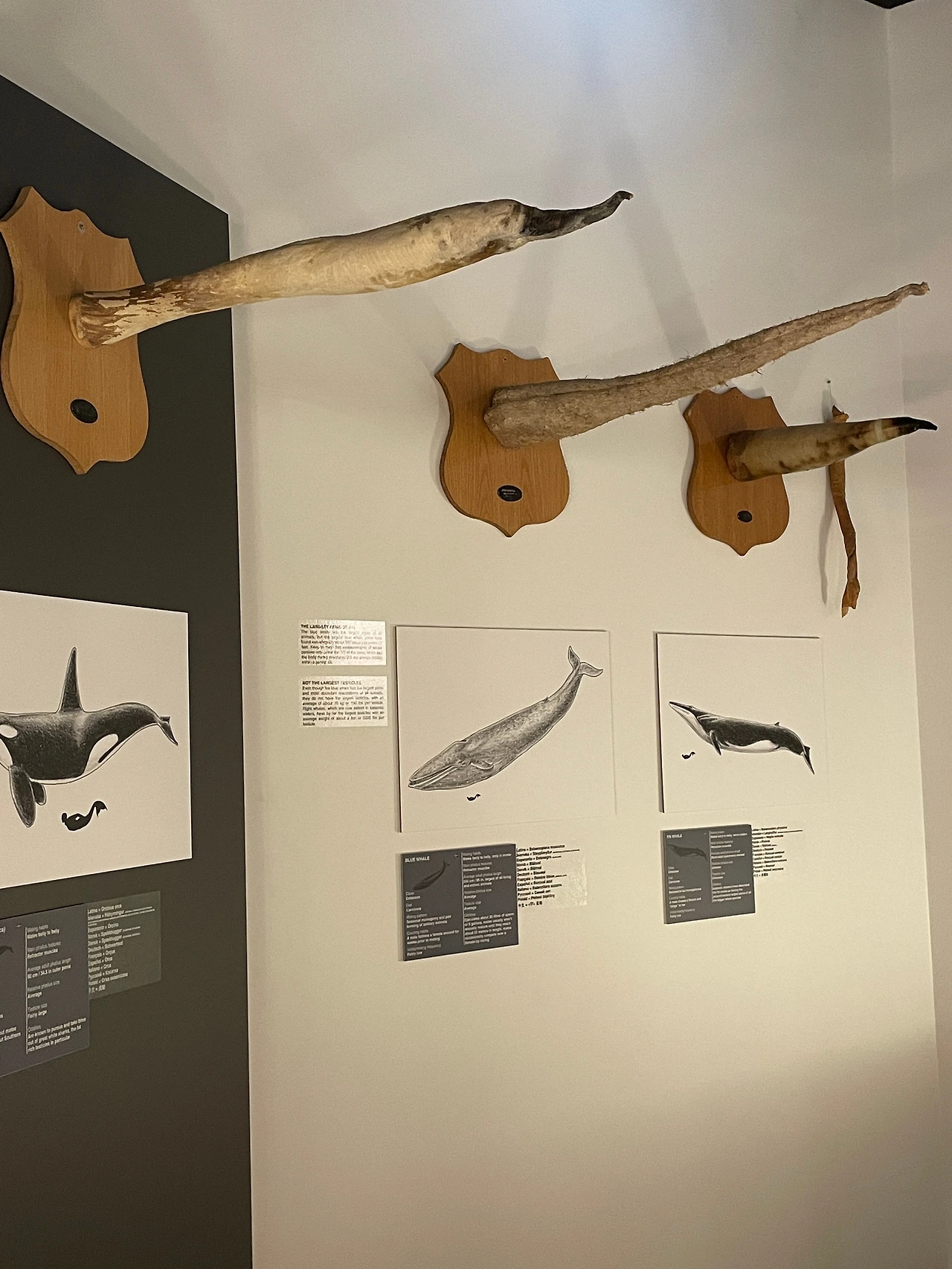 성기 1.jpeg