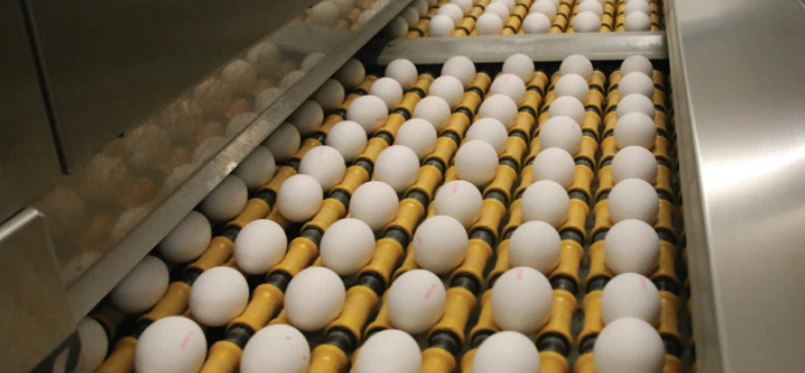 %EA%B3%84%EB%9E%80%EB%A7%88%ED%82%B9.PNG?type=w1