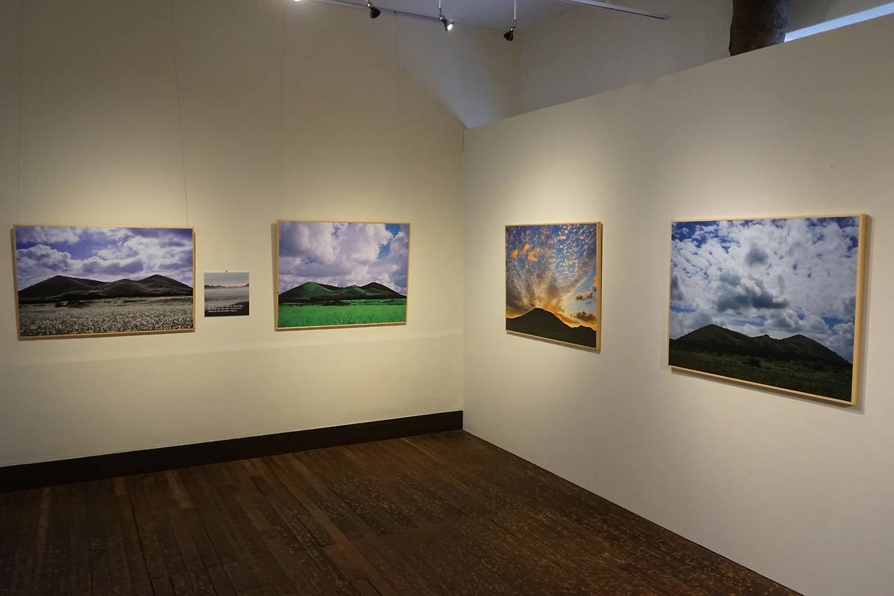 자연사랑 미술관 3.JPG