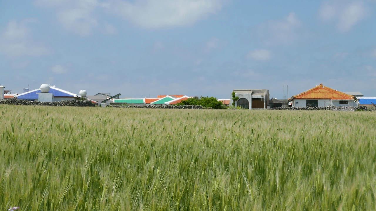 가파도 마을.JPG