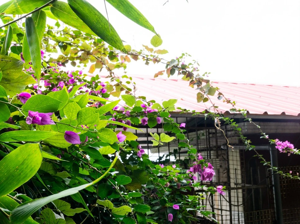 P1035686.jpg?type=w966