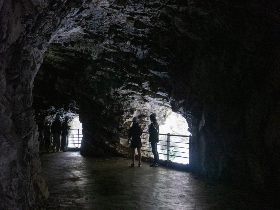 P1035799.jpg?type=w966