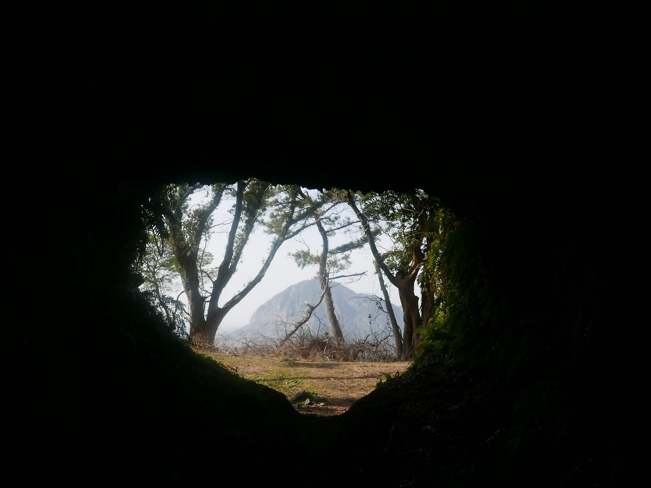 올레9코스 산방산이 보이는 진지동굴.JPG