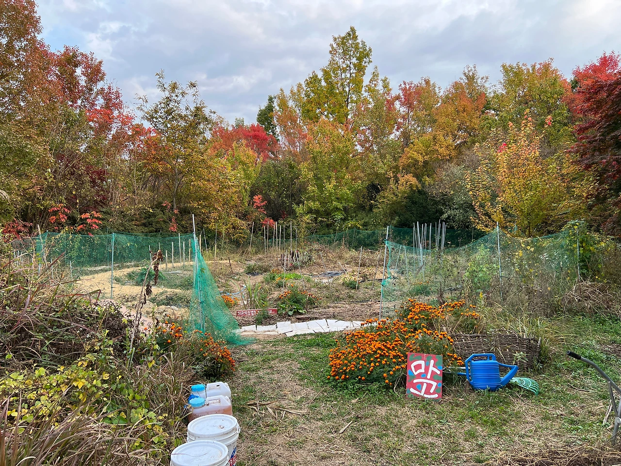 KakaoTalk_Photo_2022-12-02-19-01-40 008.jpeg