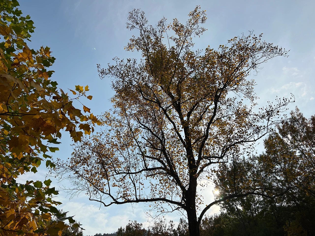 KakaoTalk_Photo_2022-12-02-19-01-43 010.jpeg