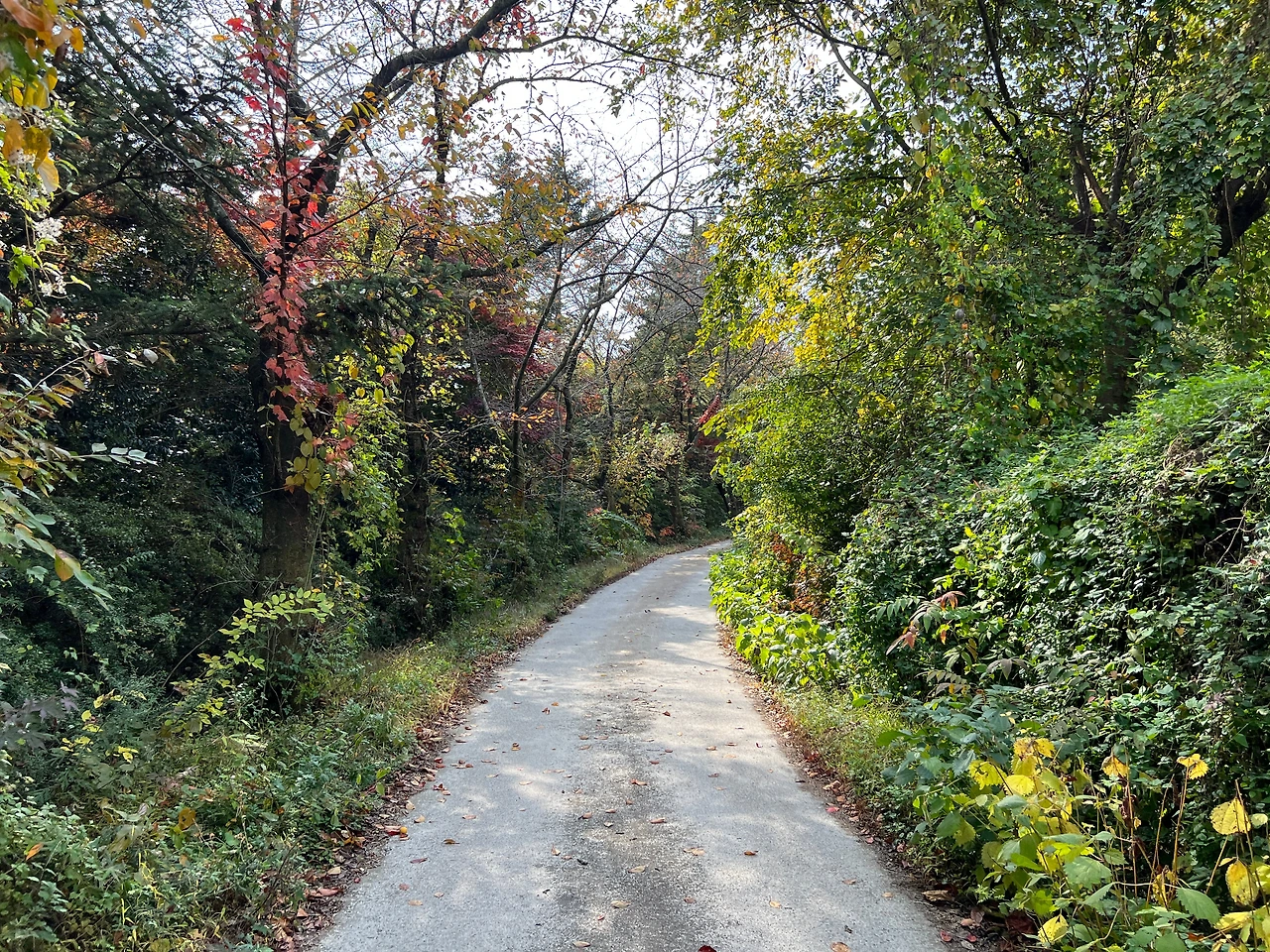 KakaoTalk_Photo_2022-12-02-19-01-28 001.jpeg