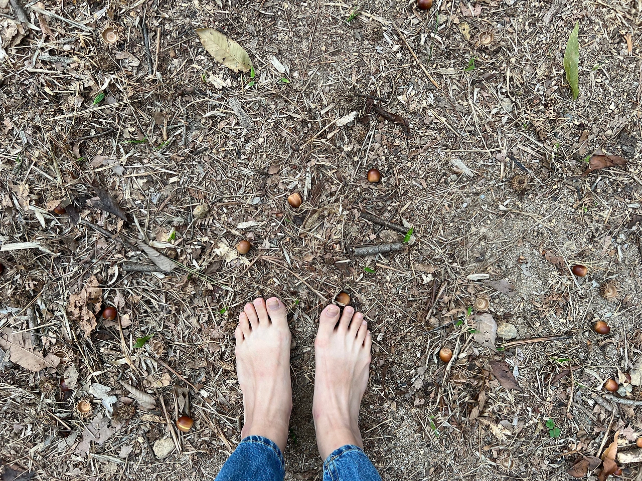 KakaoTalk_Photo_2022-12-02-19-01-36 006.jpeg