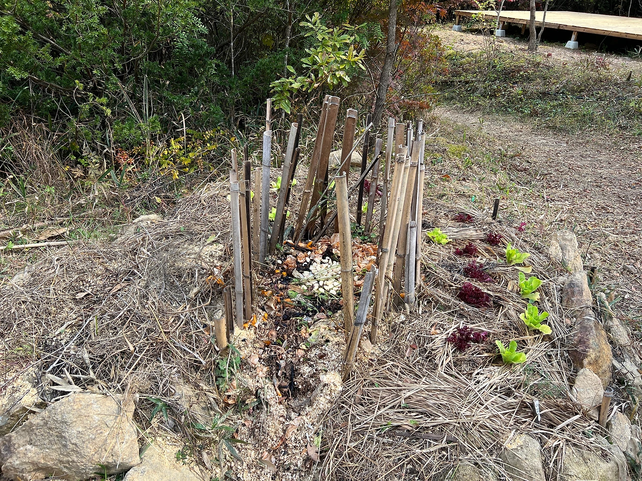 KakaoTalk_Photo_2022-12-02-19-01-34 005.jpeg