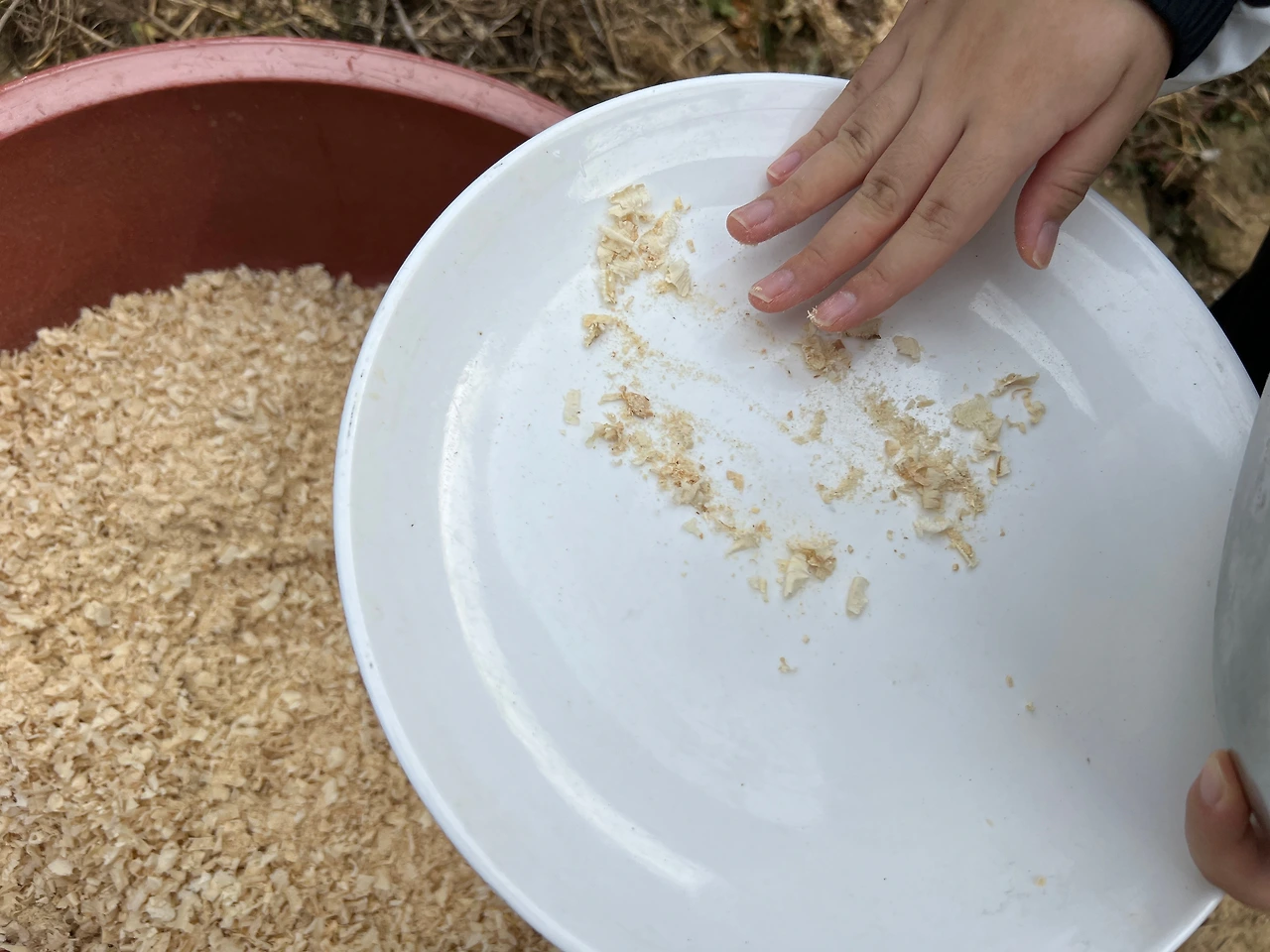 KakaoTalk_Photo_2022-12-02-19-01-31 004.jpeg