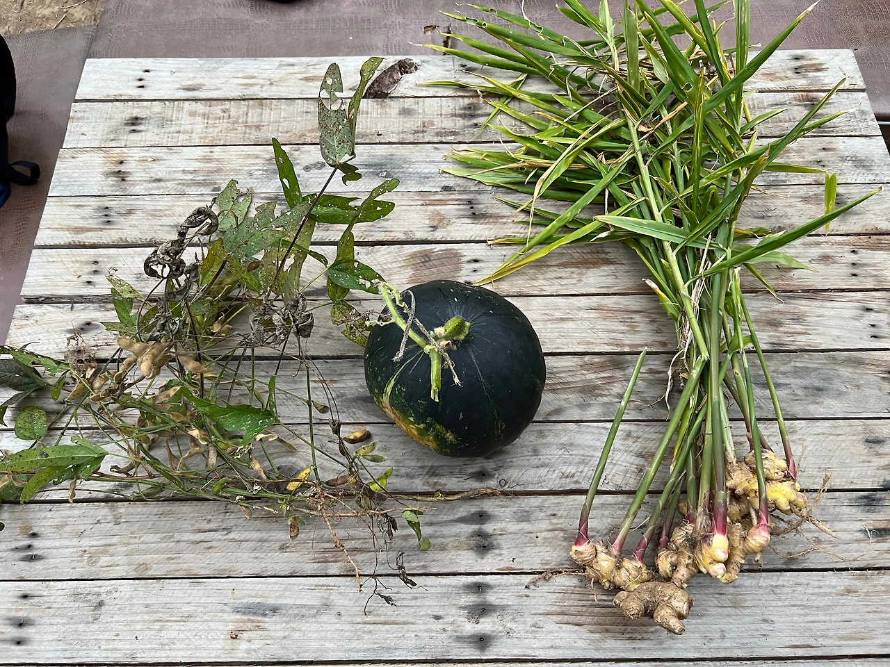 KakaoTalk_Photo_2022-12-02-19-01-41 009.jpeg