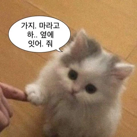 IMG_9457.JPG?type=w800