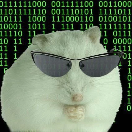 XiRnMcioiFHRhYfwHJrzRfasMlTSPcHnfbeIr5Mdb5U_7ujQWWsUs462jSCvQ7bTSepH5hv4V5j4cpWtZ7g=s0-d-e1-ft