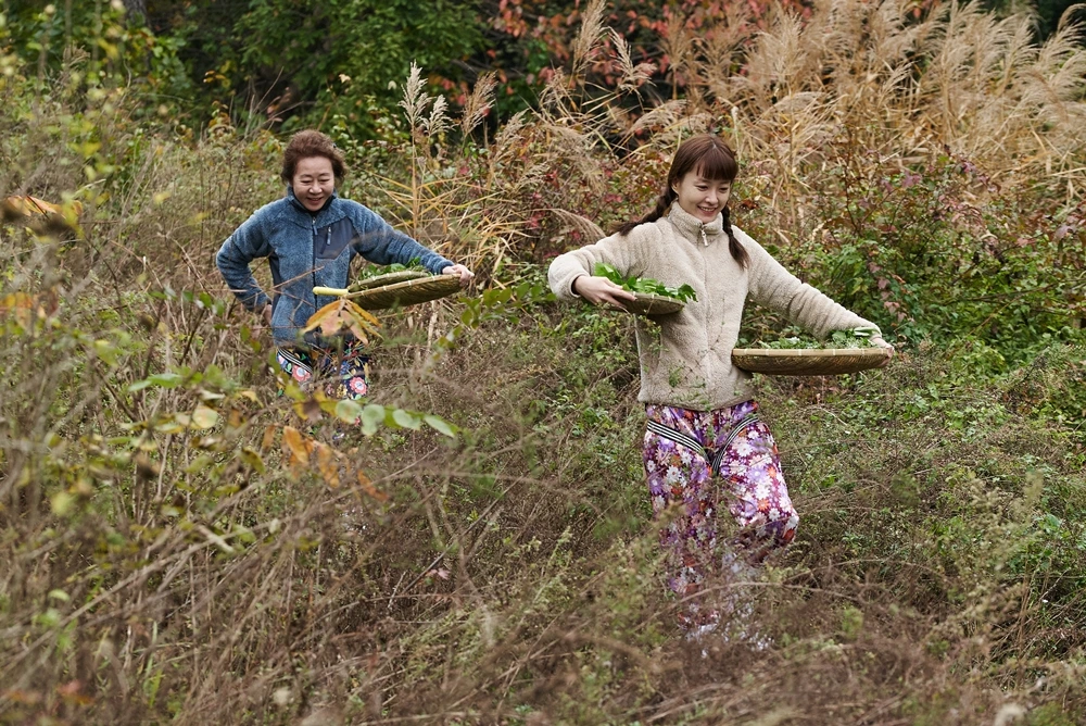 f06bb8575971f5e6e72015b805b5ee92513a4933