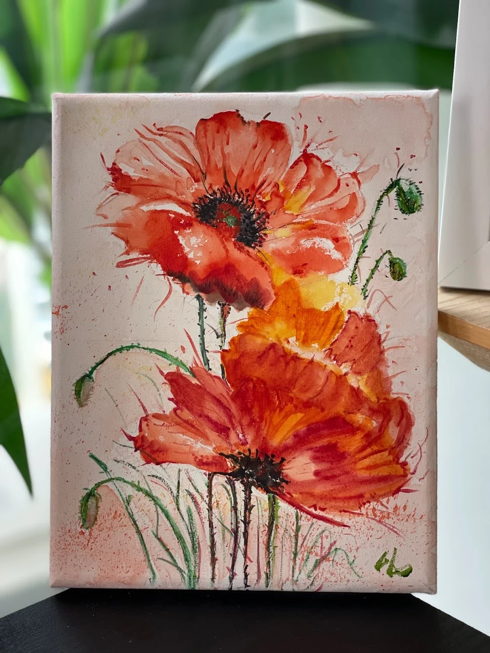 nEm6uT7iRl-0dPL_X40wEqwhdhrdc9uH7q8NAbCAc-yjYtVk7py2rkxy__EDQMqunDTqst0ON5eMi6cVP5_X966LHNUttwcayjgBQ5LvZC0NdL-aUxENU6A0iR2oFhomt3PN9m-HNrvbdB0xyWqXD4km1ZNmETJ87Q87WWzGSH18oNAGhPGr-MCtoeOJ_Bs_936N5JrbJOK-BLZnt7YPOT3NSS3VFib6ccoVJoauVRXRIh3uFHZFRio4FAhLMYdBsDqmJbLWJQQFc97W_mrlj2R-T6OpMvves52pzKa5H24YXE-kVjEQTfYrbEXYZXmZa4jF5bLDVMbsEQ-nZtgNG5GNoDCWQx20cOUs4ra40Sz6Yii5YGRJayg5k2YRoVc5dc0Qhv9RVc-iMZaBcL2p4HZfOIMBs6nDs8We5DzdtCHCho1fcQyfyE-Qg7-EZvJ1ll7_f39gi2JGwter8INQKIvrYF4D828Y78BpOxHq7DEFJn341hVWhnDccJbrLvG88VOme0Y4J_kA7NYEa3CDaRF147dK2-BXPuE_l3-XRd_SK0i7llUVI87ngehZNHhGrJZqFJKXyBJJjkkg1nLiJN-V-Wi3m-pRQs5Xw6ooG0HJCR3vxDQe0CvkSj45lv1rrAxIqsqc5qCmrXgxJj7aZayMmXeaWmcHo63cWXbkbXorf30NJTvKnuw2QQtG7n6mvQcQ5FyLCsgHImrXIags9_0DEmLf5olpibYWAD7RjNVXEz9oUrso1_HP86k4=w968-h1290-no?authuser=0