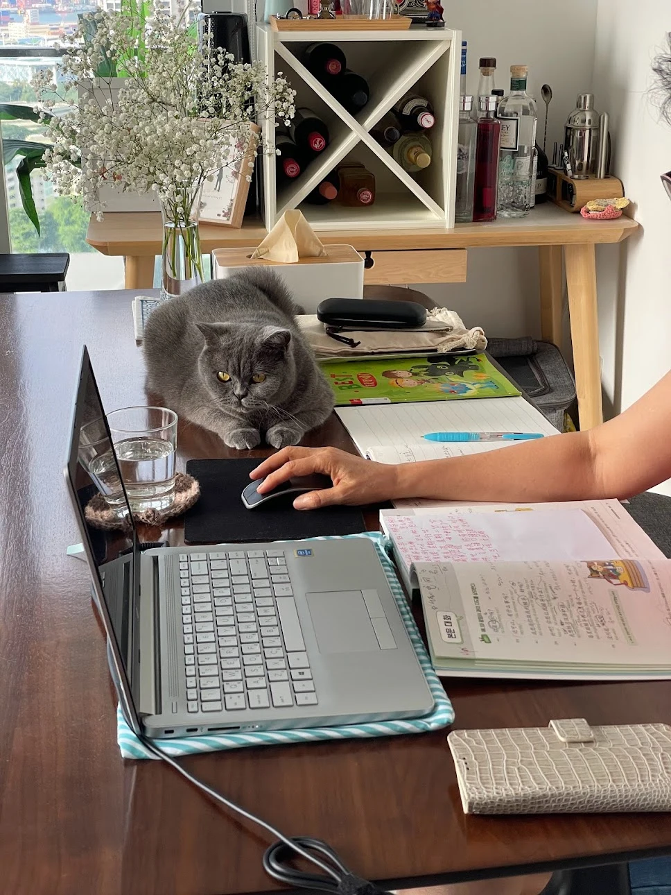 mj397e5UHDOhgPvtJ8hT8XwtpvTTjPeowIOg1Kc0p9pHXuEGbsyrKpnFb7vQothREi9CusTtcioA1MCREPTyo8-CsV4q8gAVxHVKdTql2wO9e_aB6eRGtZm_n06sVo1JGfVGCoEqIH5yz1QlSOF7pUSEUJGKKQxZUPv0ScmPgft0nxX25izNGlXkWaoCGLprxy05yA9s3mSYYoQZl0ZwwVXECAndh5X8DyV26JAn7uOIWPO-HFSFiuUsL1qXwd5sLhFmETHzV6NUPljXXgXksgaNzFIx-BiqZR_fbaUwIoY9CqgzZYFq5fFiSSnDhS5XjNQ9KW_SEtEFlXqsNlnppe4dDYB1Oso9ujaegZxGXXdcQTR9pSy5mgV-kuvvF3irst2fG3xgTCmbQdlu7AkuAIK5rpStatf2cmll1oWelLkIHyAJcgwPDq_oLJ8vyTUpl3vGZtXoYtHYnOI4QtpX-iYa-J6BwKQFFNMew8FWlPLcqaUieuhvFEKOCXDO3th1fTswuxaThNnKygewd8Mmxk9-UEwRX6p6r5KMreTvHG9wqostzhBP4xEqITn-KoUaYRCURf1zy2dA1VWnrPRpkF915SmZGZORLbSh7XP_gZIPJbjjGWsbbn0CrVRrcDVQLKkyUy_9zy-qUYBDlzRvCpBxnJi0dvt8FDnzpQAmCBrKTPEsuJpAzsnz2LqgO2Gkpnz7GoLC36DNY7TcBr3fw_knx6YzkOgveAd-NEd2uEvhsFQxkT9DhTBpXrYZ=w968-h1290-no?authuser=0