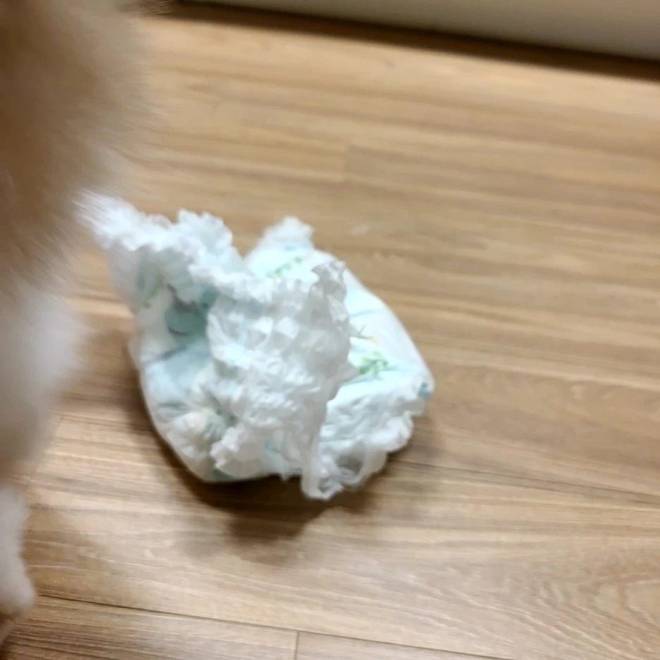 KakaoTalk_20220406_220340236.jpg?type=w1