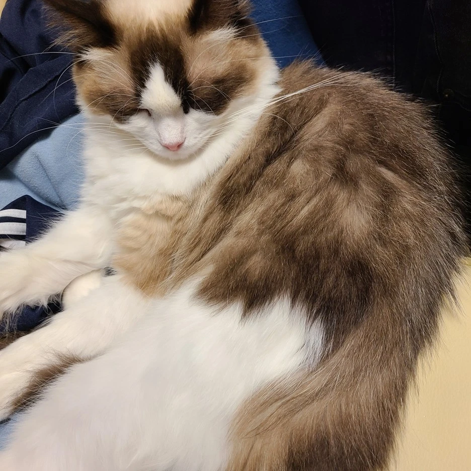 KakaoTalk_20220317_231035790.jpg?type=w1