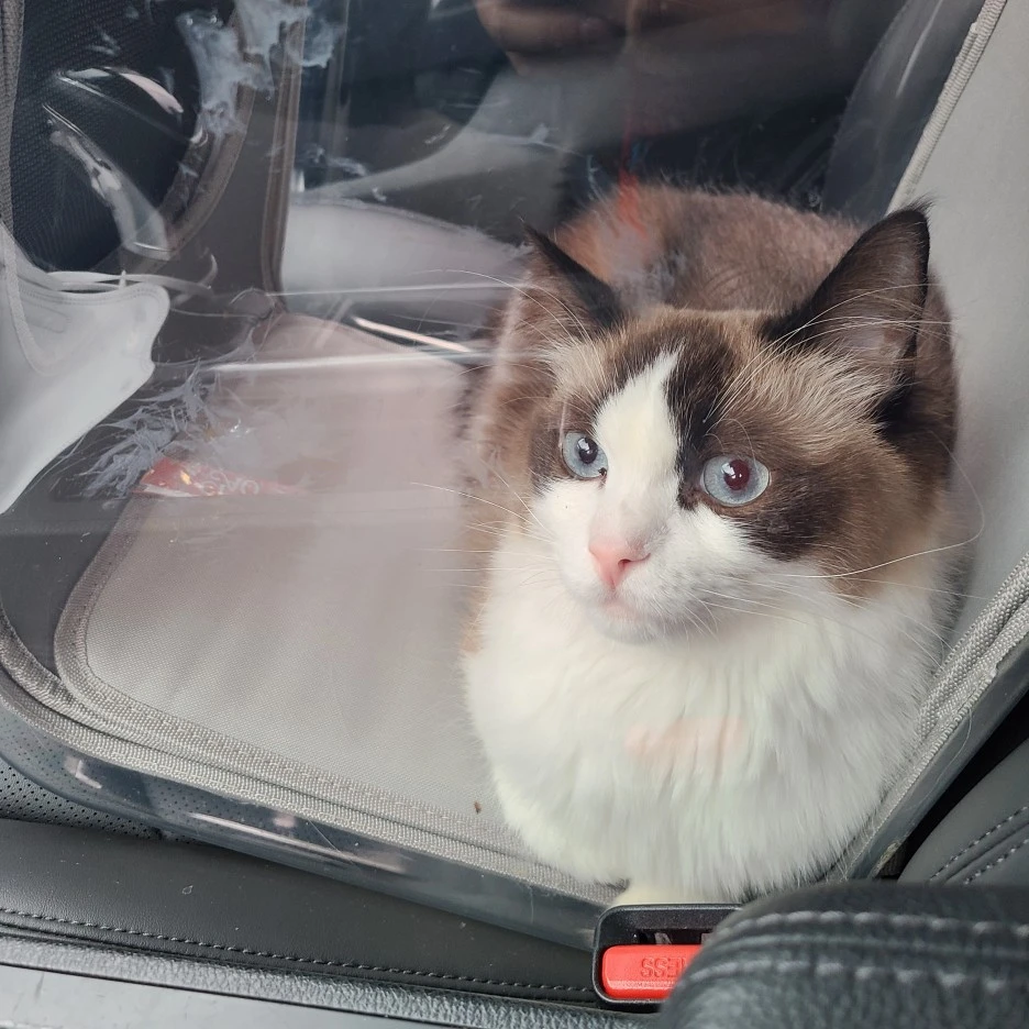 KakaoTalk_20220317_222935495_04.jpg?type=w1