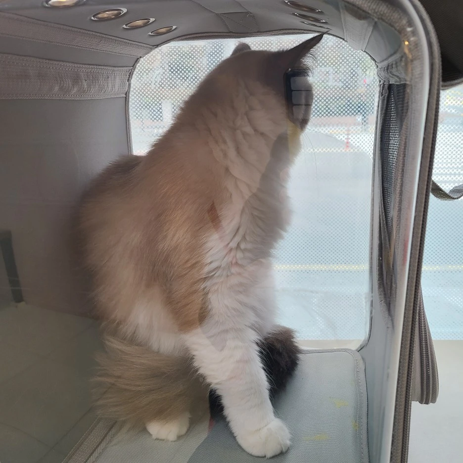 KakaoTalk_20220317_222935495_01.jpg?type=w1