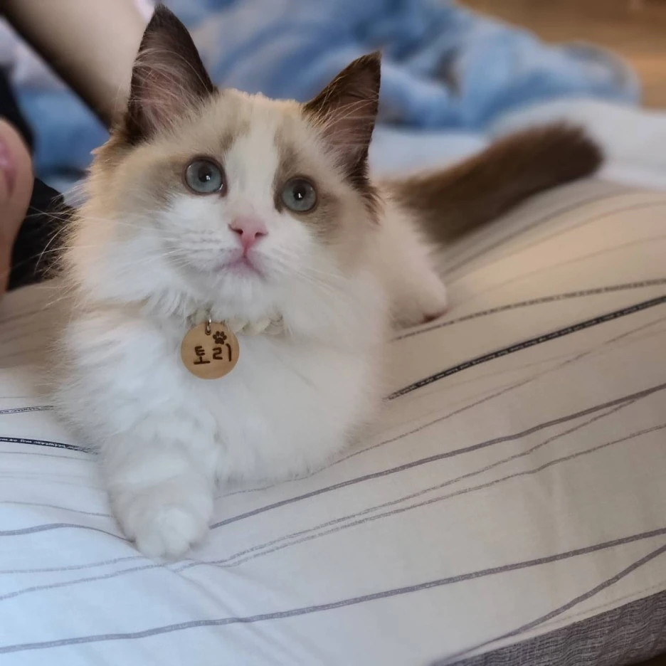 KakaoTalk_20211226_221227249.jpg?type=w1