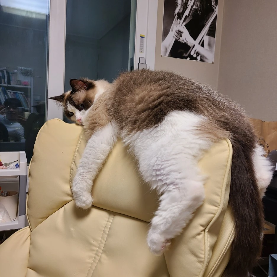 KakaoTalk_20220317_222935495_06.jpg?type=w1