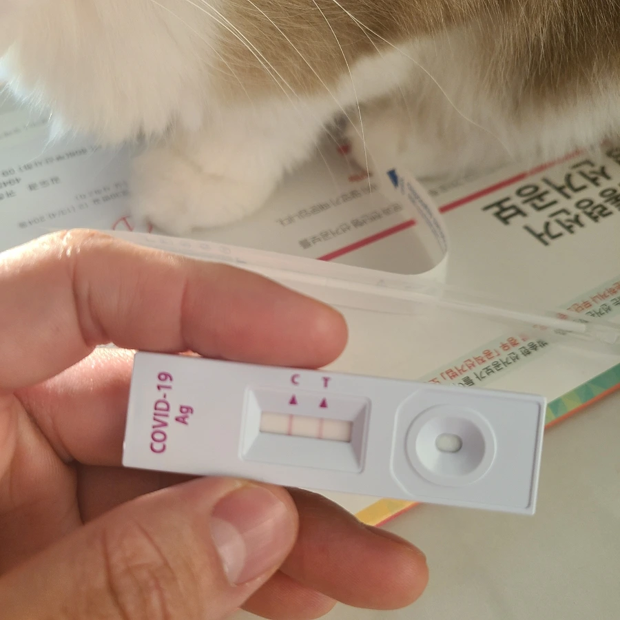 20220225%EF%BC%BF072809.jpg?type=w1