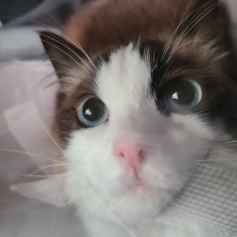 KakaoTalk_20220317_222935495.jpg?type=w1