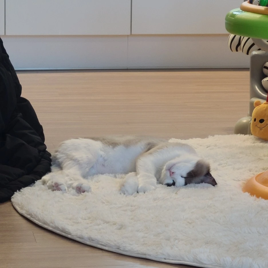 KakaoTalk_20211219_215906391_04.jpg?type=w1