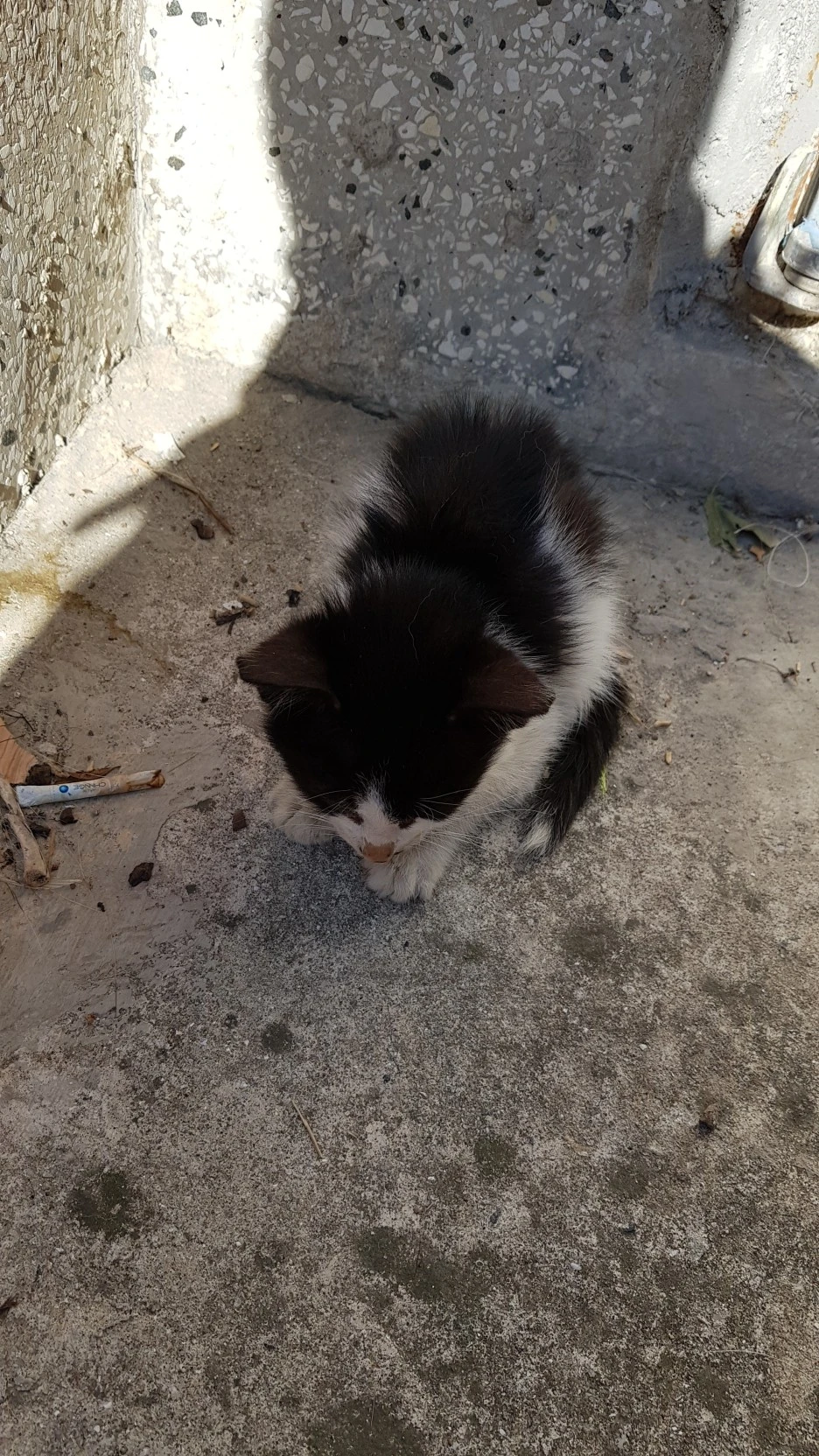 KakaoTalk_20220206_210159956.jpg?type=w1