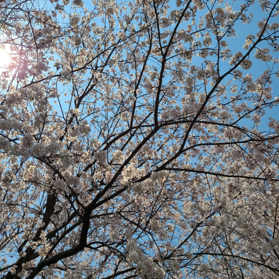 KakaoTalk_20220403_204740006_01.jpg?type=w1