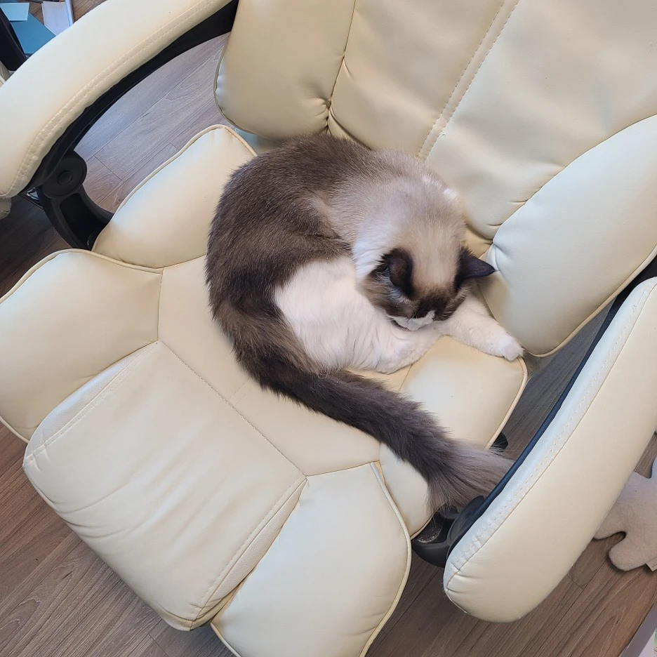 KakaoTalk_20220317_222935495_05.jpg?type=w1