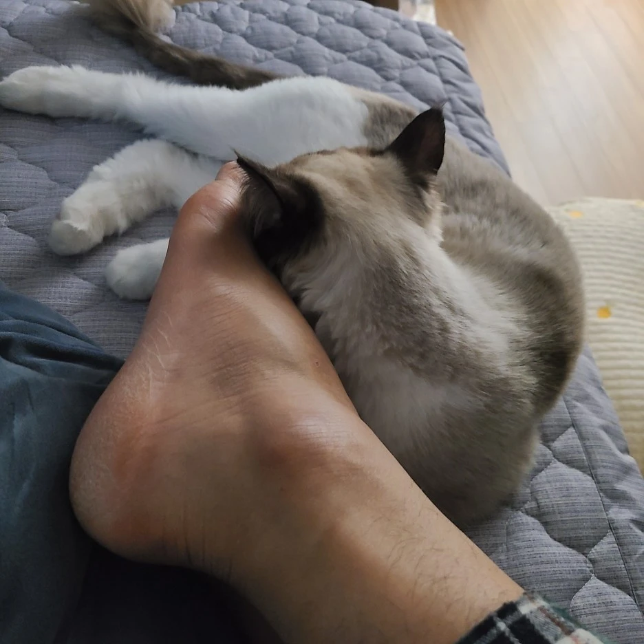 KakaoTalk_20211226_213526788.jpg?type=w1