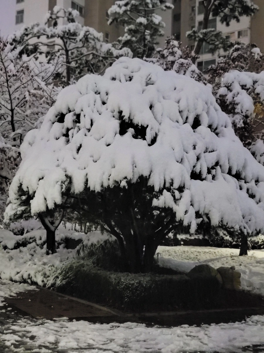 900%EF%BC%BF20241127%EF%BC%BF183500.jpg?type=w1