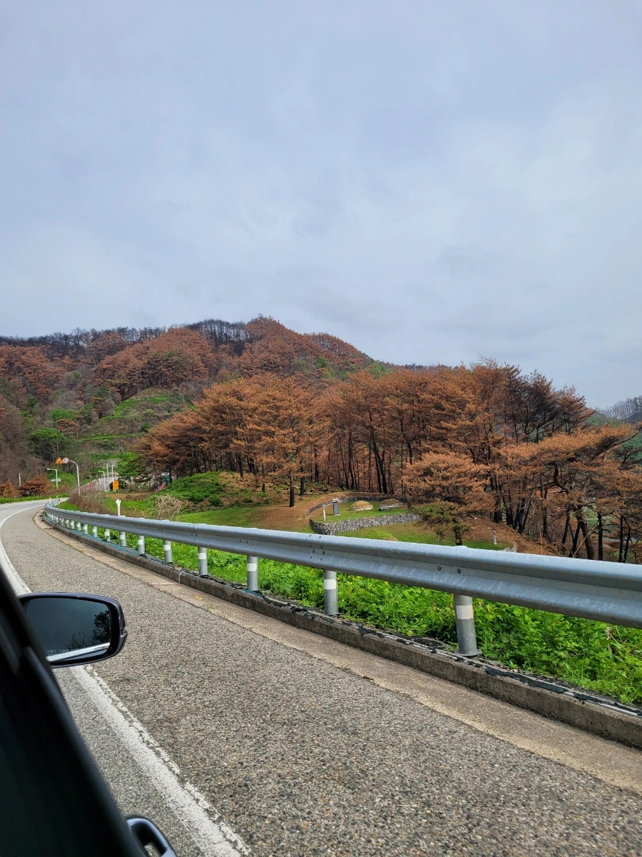 900%EF%BC%BF20250518%EF%BC%BF082657.jpg?type=w1