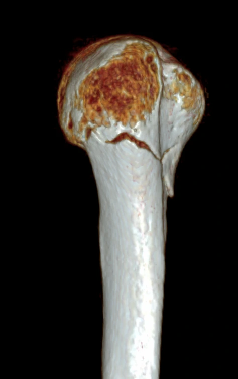 1738826355038.png?type=w1