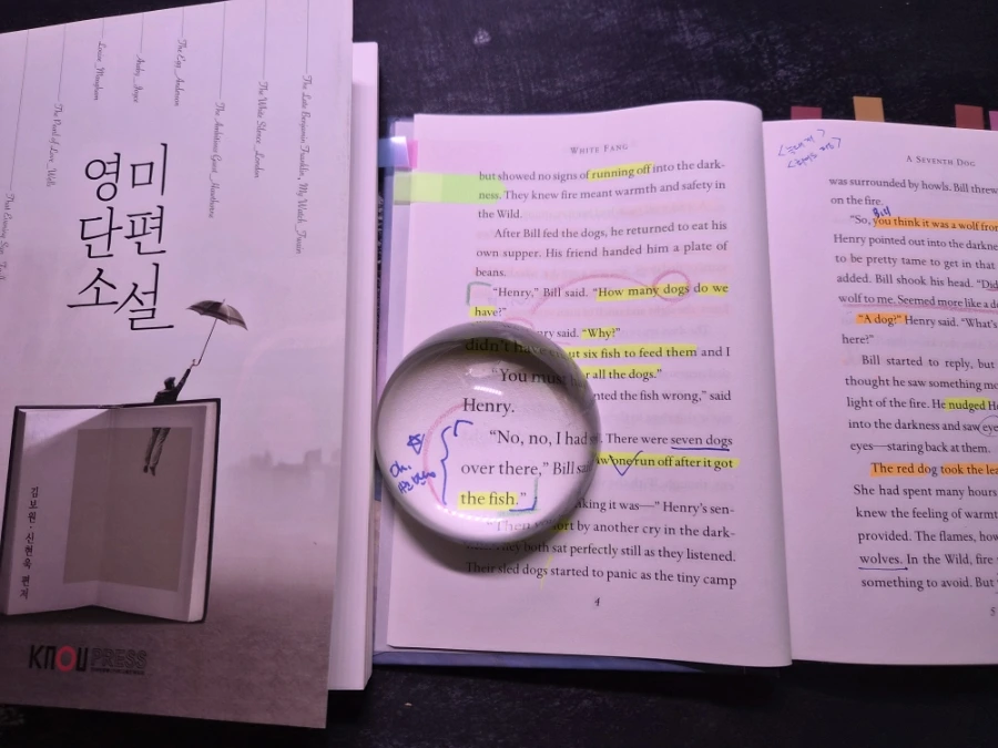 900%EF%BC%BF20250929%EF%BC%BF102704.jpg?type=w1