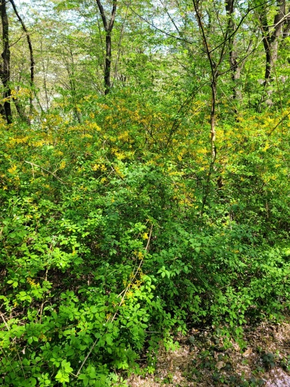 20240414%EF%BC%BF115251.jpg?type=w580