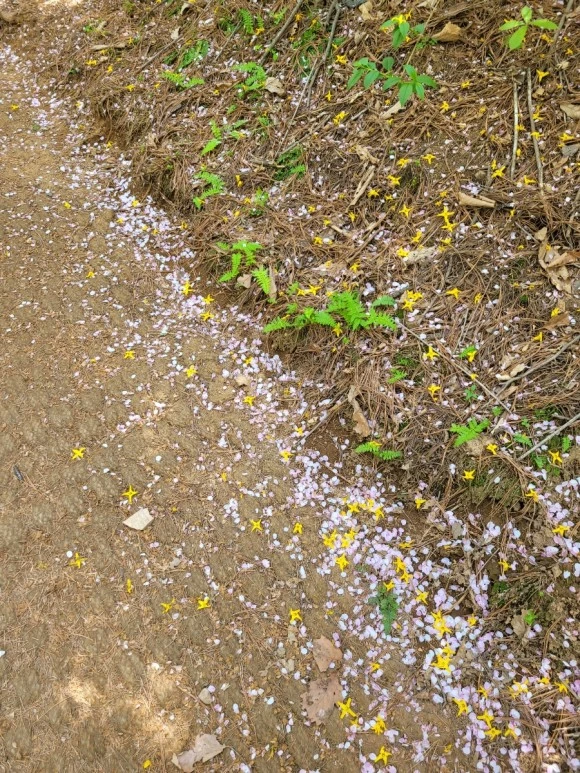 20240414%EF%BC%BF115327.jpg?type=w580