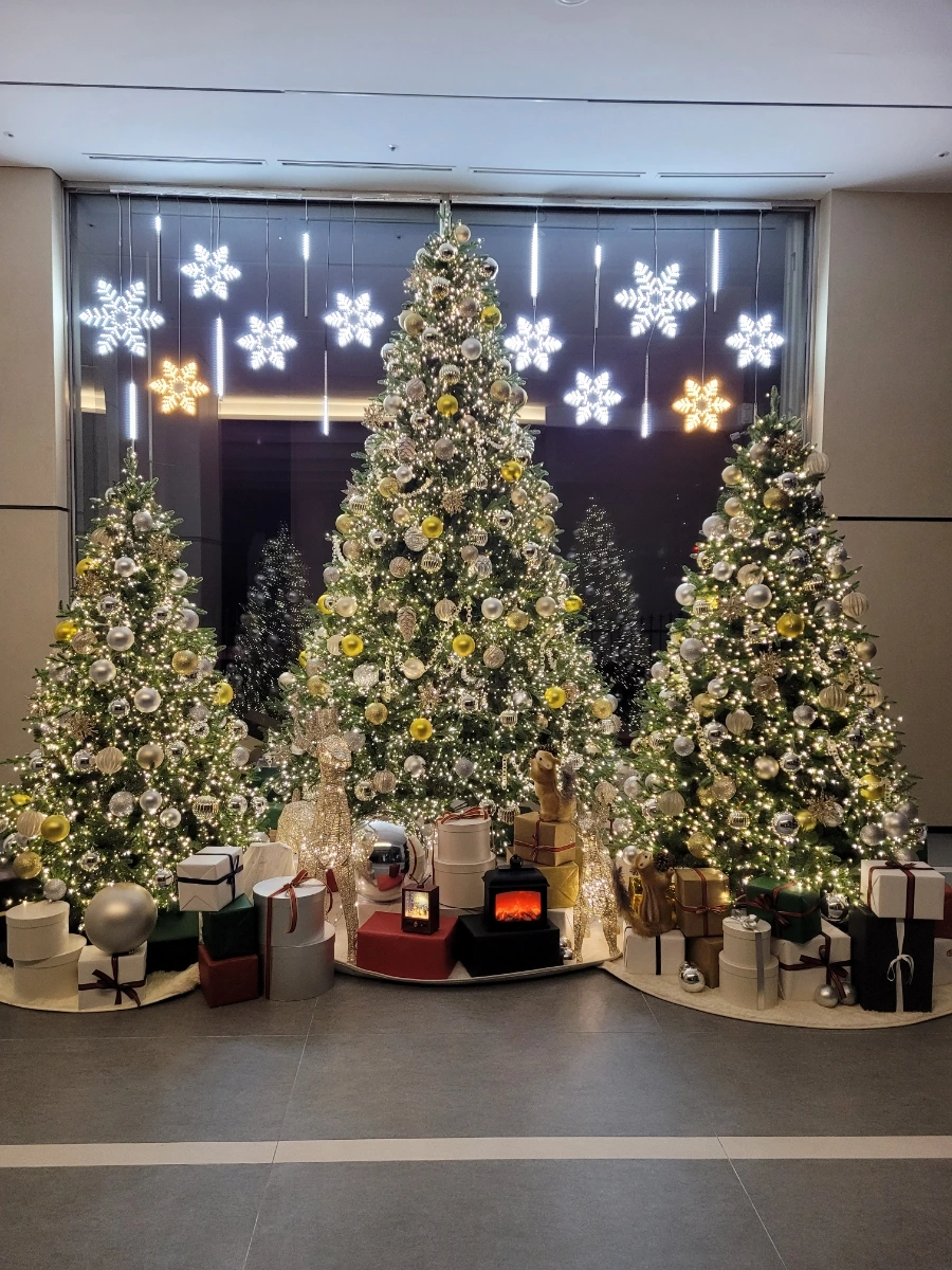 900%EF%BC%BF20250117%EF%BC%BF212638.jpg?type=w1